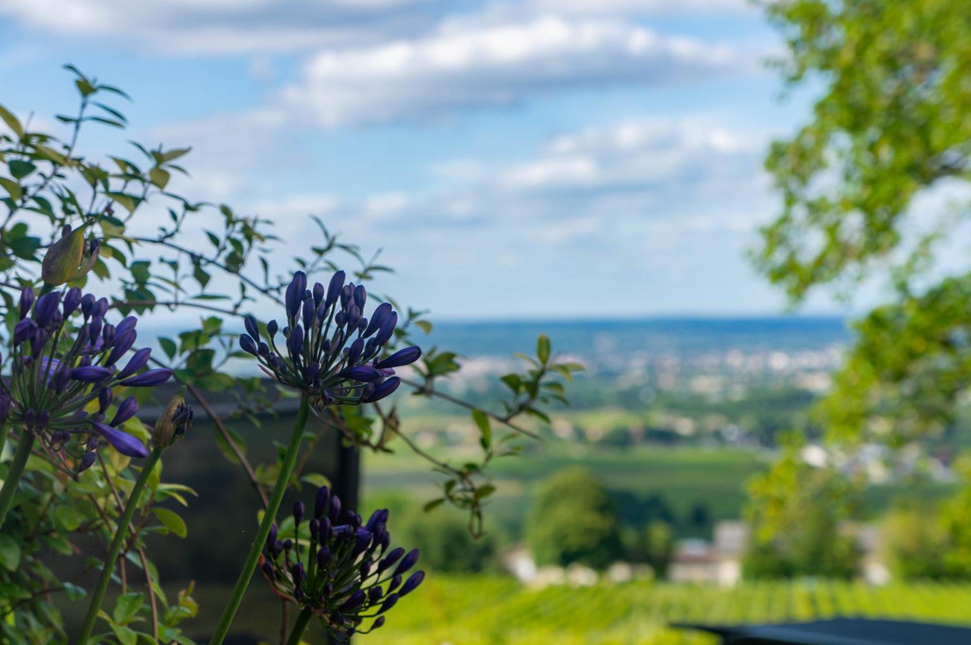 Le Domaine De La Tour Des Vents Bed & Breakfast Bergerac Bagian luar foto